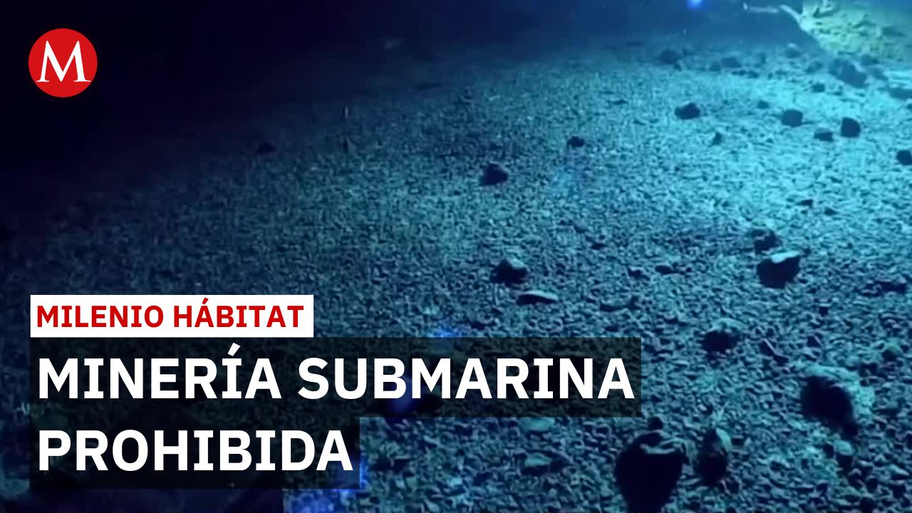 EU impulsa minería en ecosistema protegido del Océano Pacífico | Milenio Hábitat