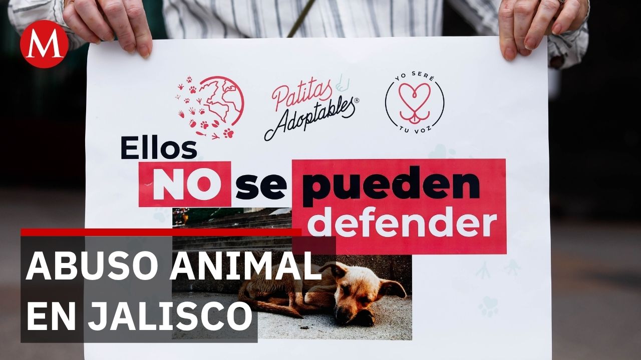 Investigan homicidio de hombre tras presunto abuso a cachorro en Tlaquepaque
