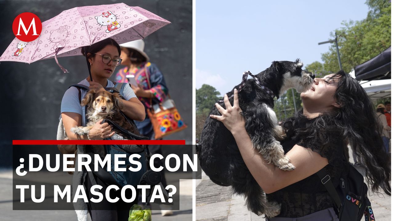 LG presenta una lavadora con IA diseñada para eliminar olores y residuos de mascotas