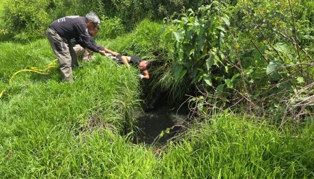 Lomito fue rescatado en Omitlán. (Cortesía)