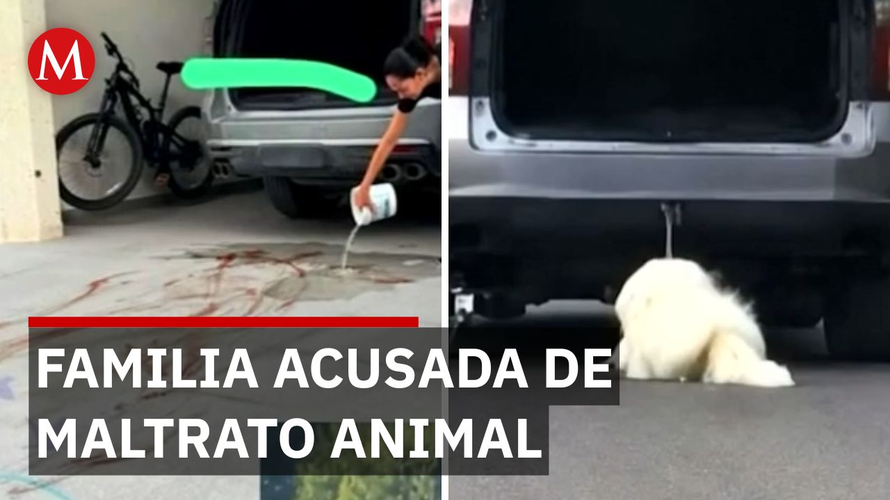 Perro rescatado tras ser arrastrado por camioneta en Villa San Miguel; recibe atención veterinaria