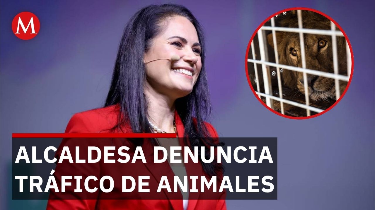 Alcaldesa de León denuncia tráfico de animales en zoológico