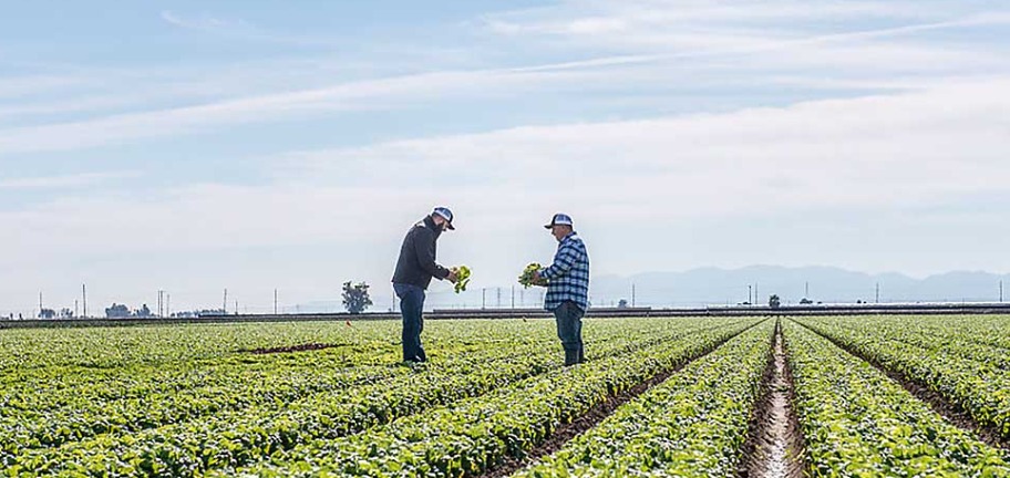 Las autoridades sanitarias de Michigan informaron el jueves de 7 mil 644 casos. (Foto: Taylor Farms )
