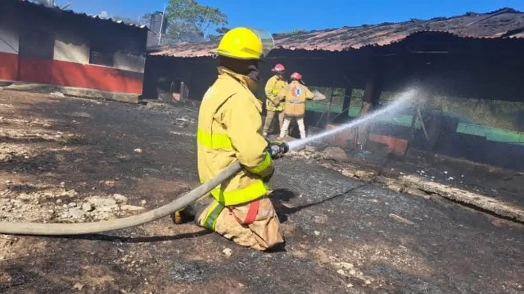 Bomberos sofocaron el incendio que consumió una granja avícola |Foto: Isabel Zamudio