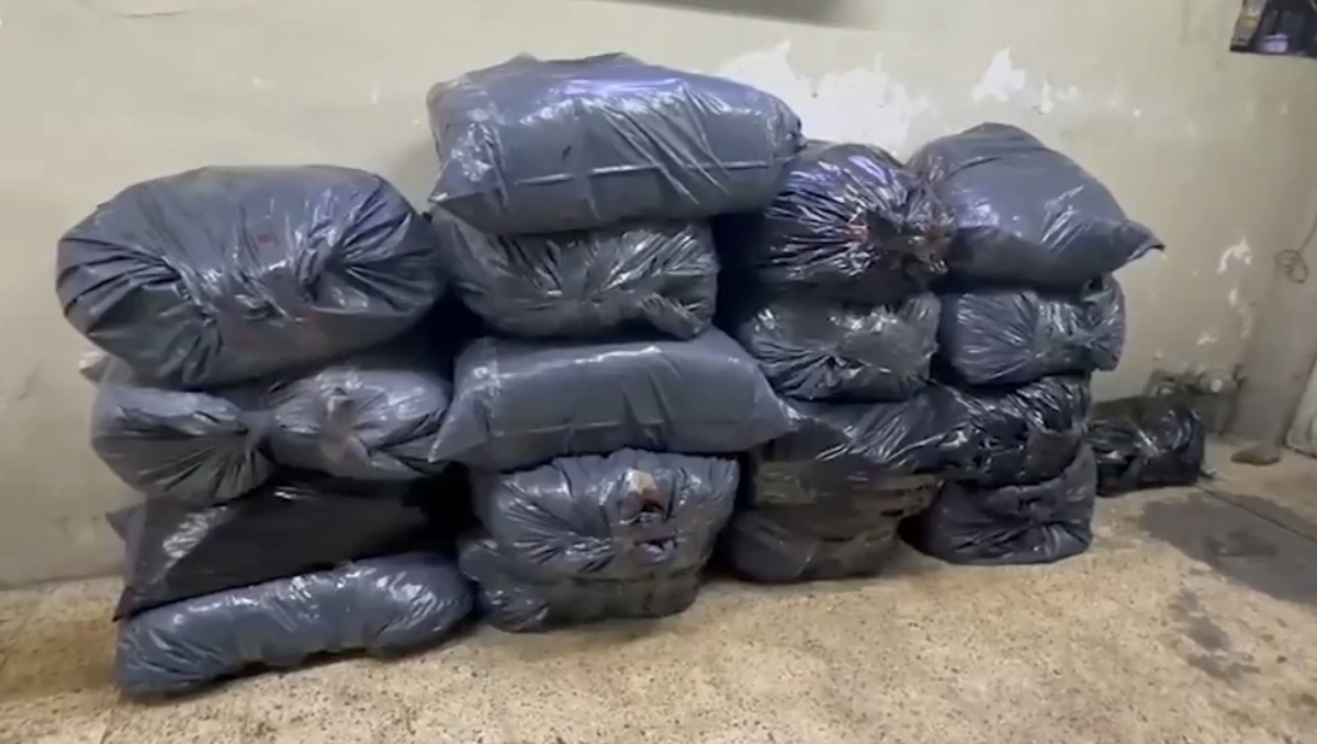 Decomiso de droga en GAM. | SSC
