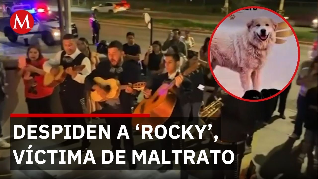 Despiden a 'Rocky' con veladoras en Coahuila mientras Liliana 'N' permanece detenida por maltrato