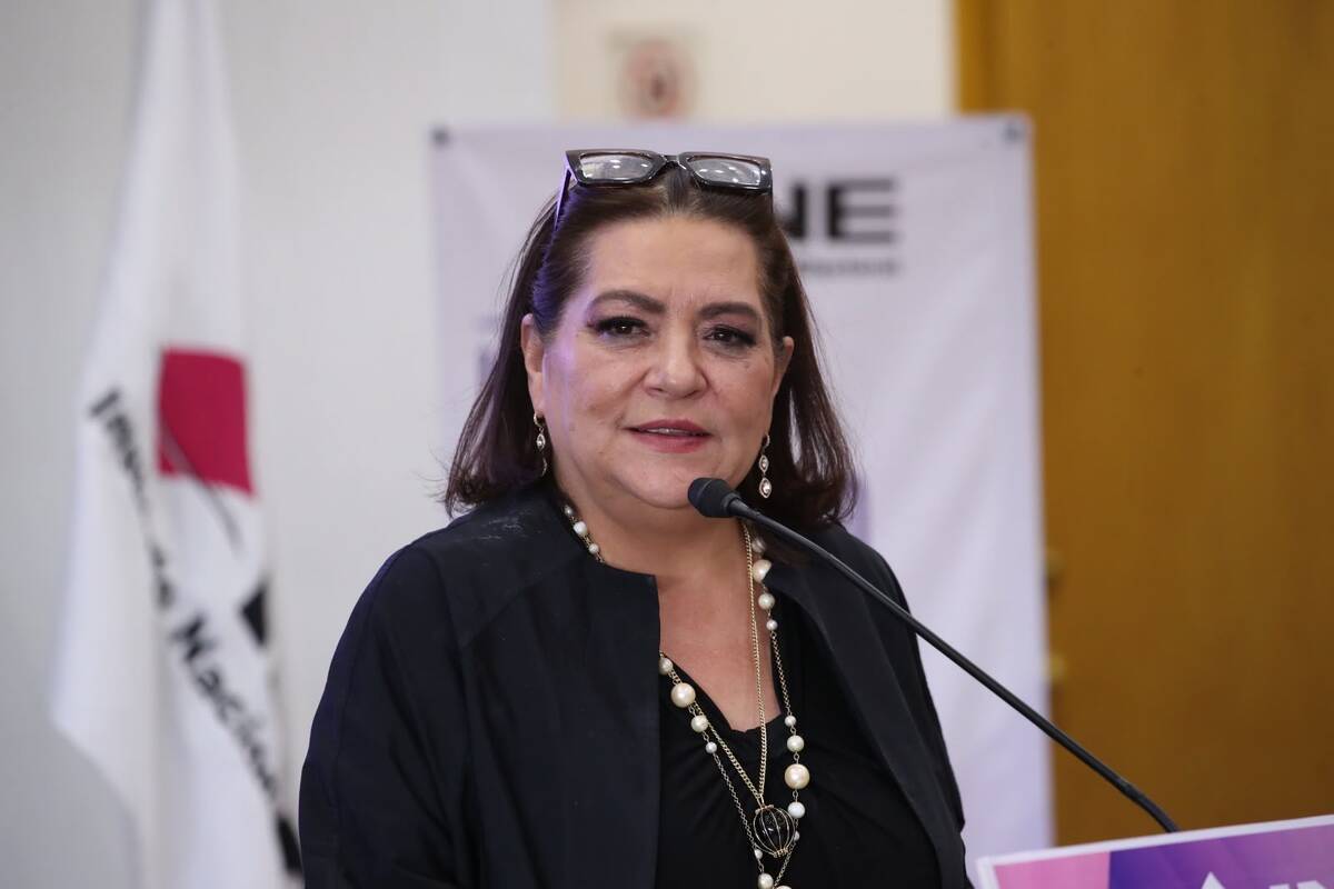 Guadalupe Taddei aclaró que el organismo electoral requiere de denuncias formales. | Foto: Especial