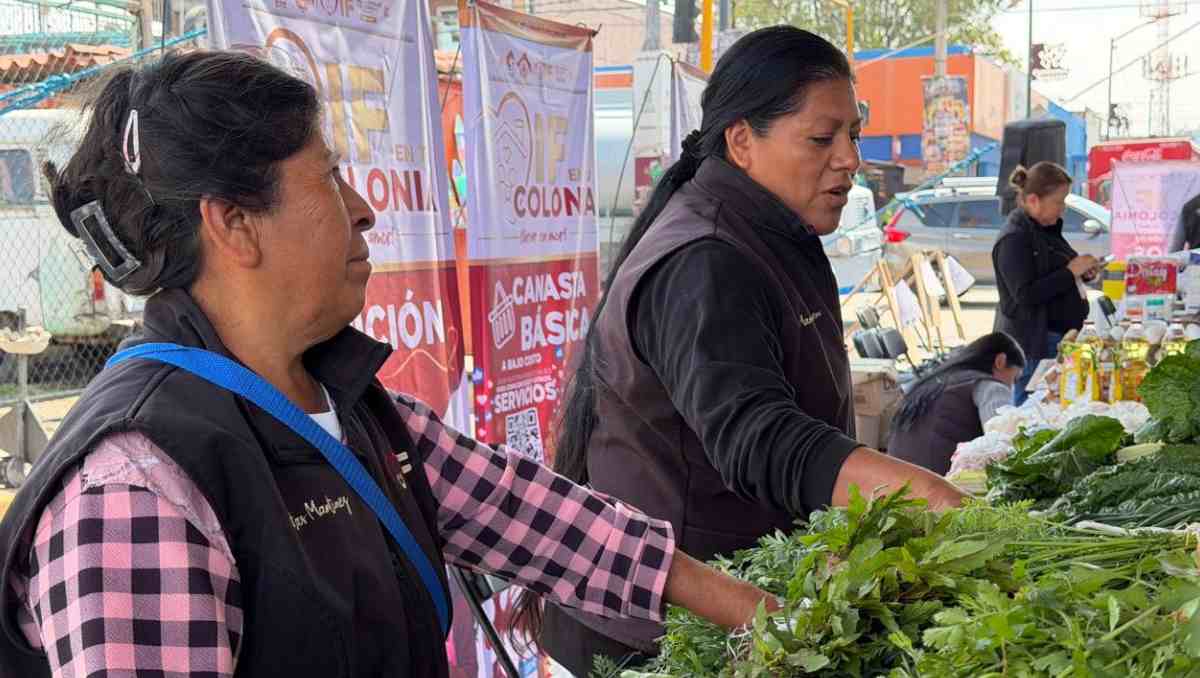 Nezahualcóyotl, Ixtapaluca y Valle de Chalco promueven huertos urbanos para impulsar la autosuficiencia alimentaria. | Foto: Zuleyma García