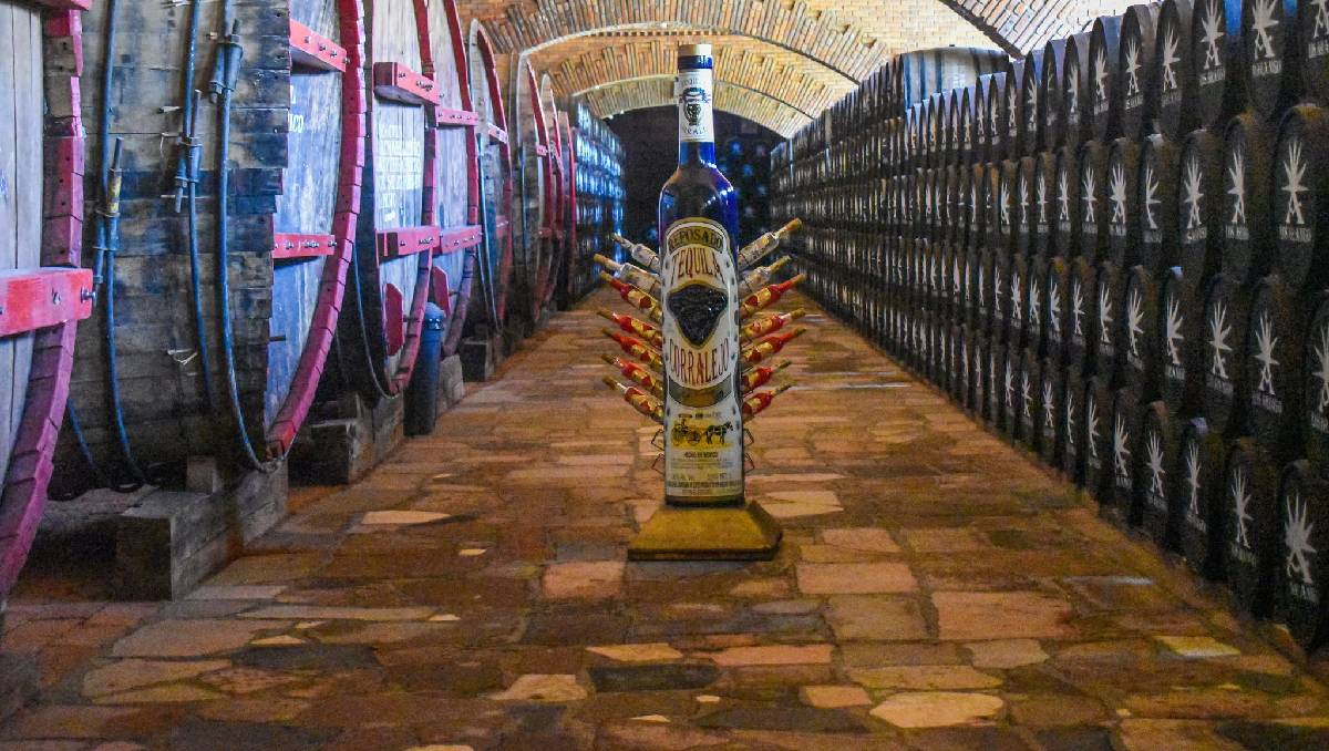 EL tequila a aportado a la economía del estado de Guanajuato | Cortesía