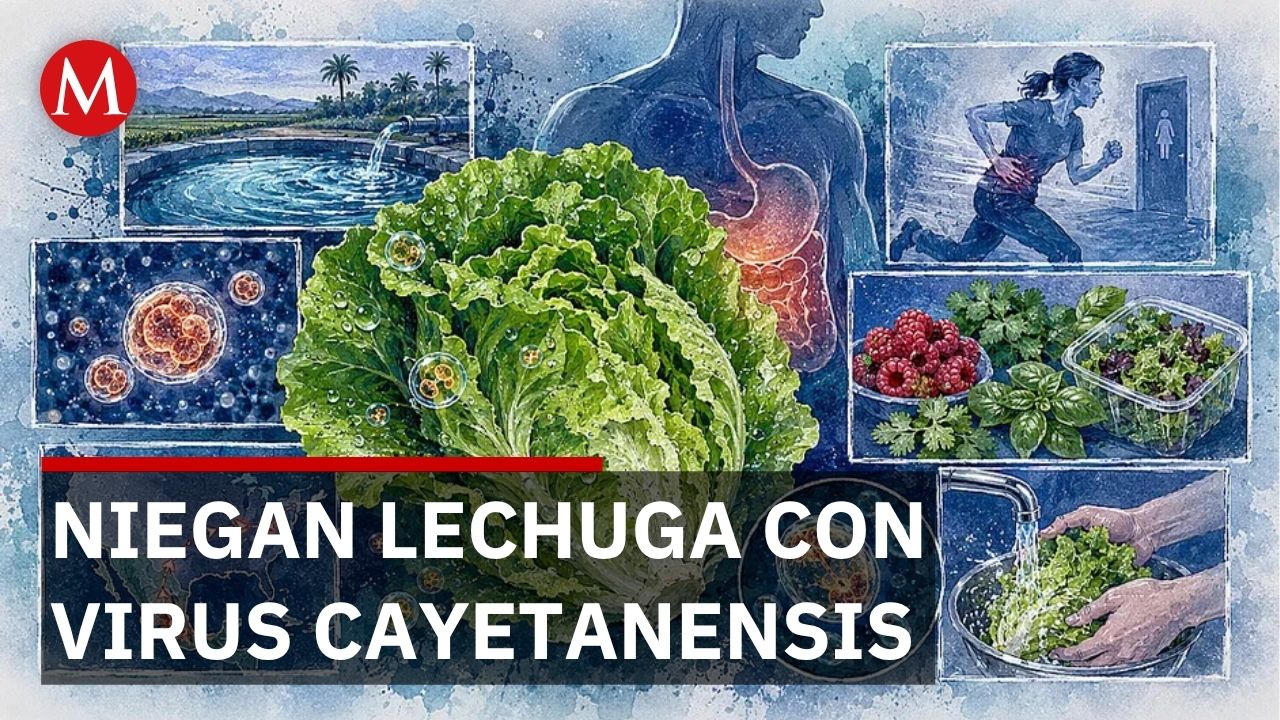FDA admitió error en lechuga pero México descarta contaminación en Taylor Farms