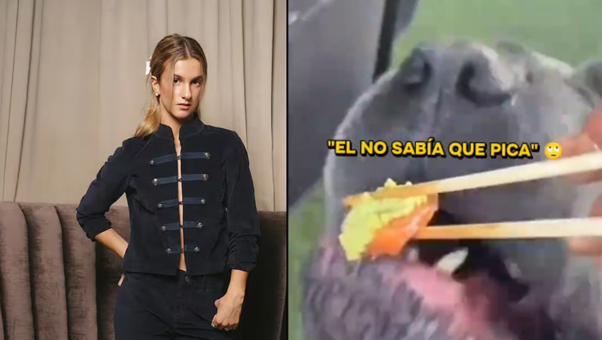 Influencer Josefa Sáez enfrentará denuncia tras viralizarse video con su perro y wasabi. | FOTO: Redes sociales