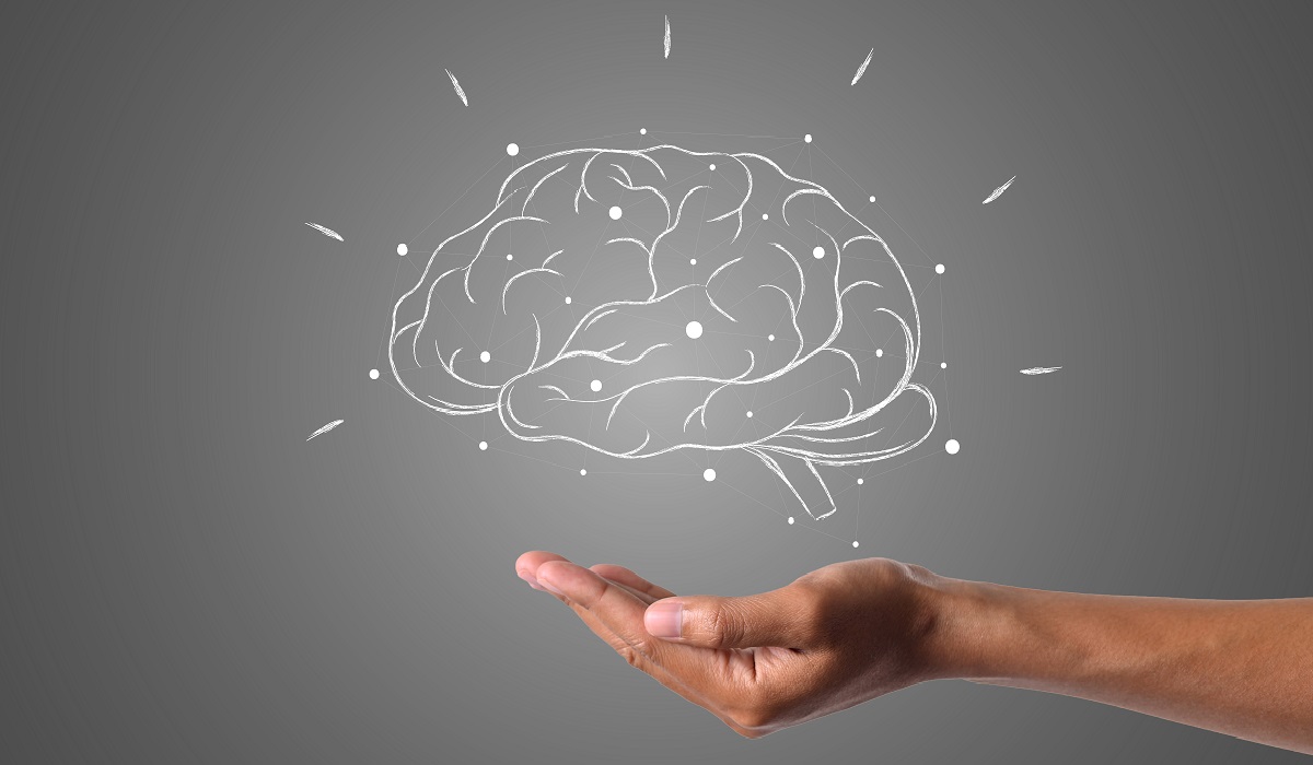 La neuroplasticidad es la capacidad del cerebro para reorganizarse y establecer nuevas conexiones neuronales. (freepik)
