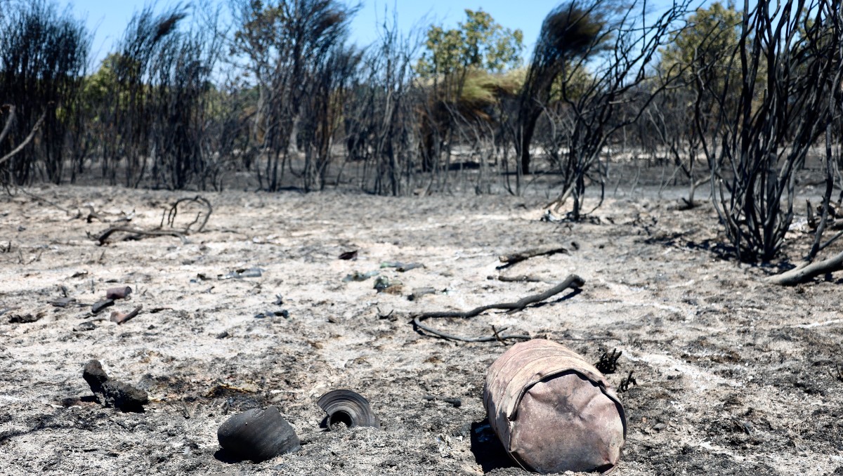 Miles de hectáreas forestales se han quemado por los incendios en España. | Foto: EFE