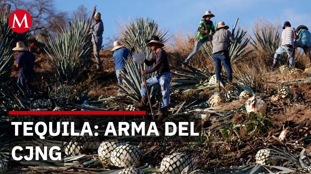Tequila de Jalisco, símbolo de México, es usado para lavar dinero del CJNG