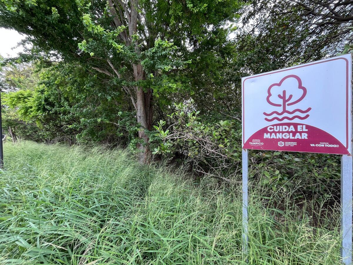 "Cuida el manglar" señalética en  Laguna del Carpintero | Yazmín Sánchez