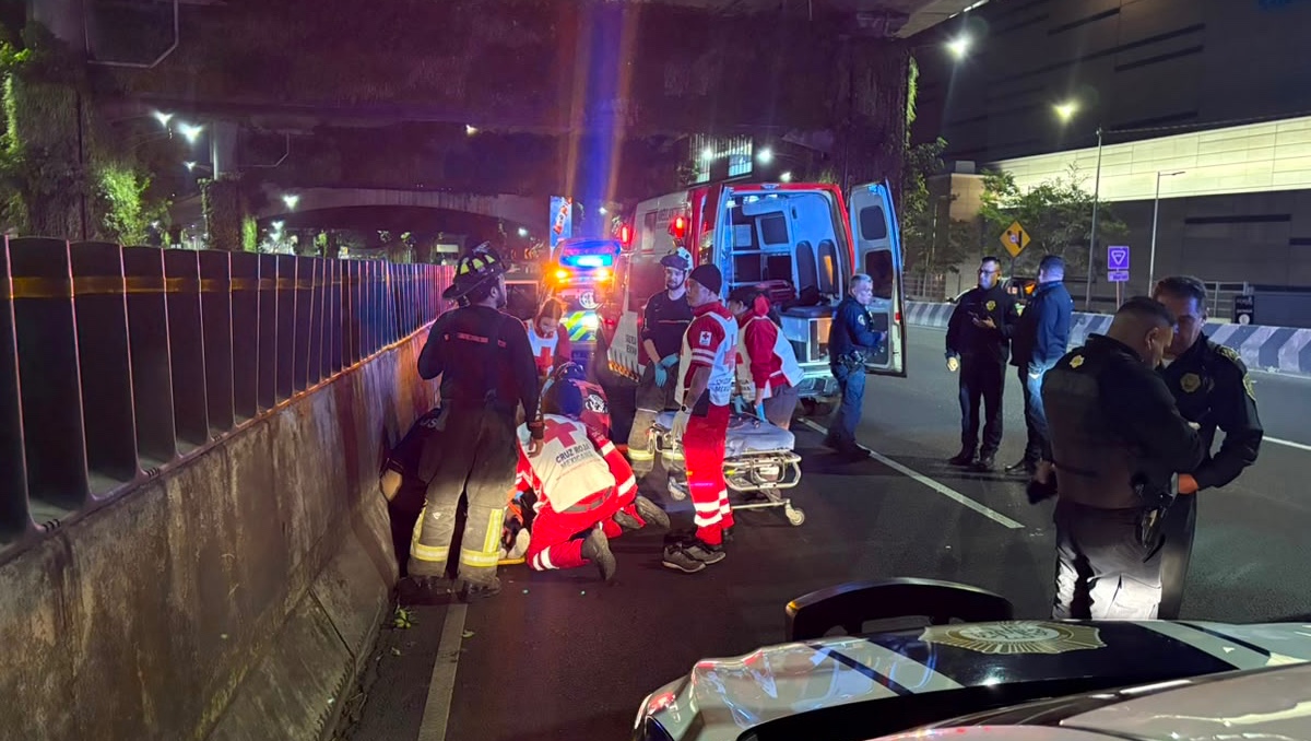 Hombre se cae en jardín flotante de Periférico. | Especial