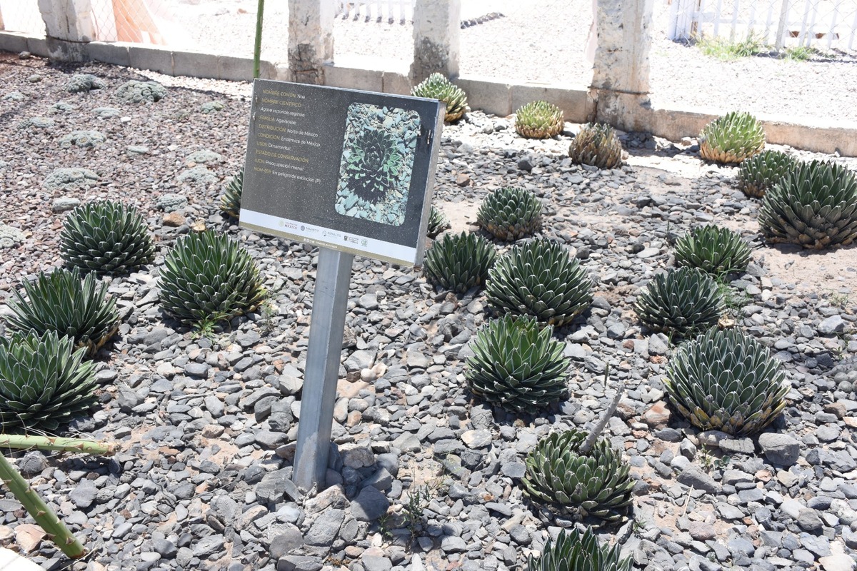 Plantas protegidas. | Roberto Amaya