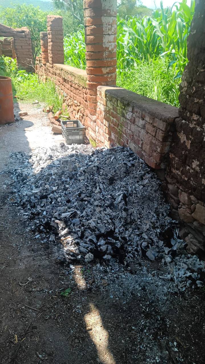 Restos localizados en el predio de Ayutla. (Cortesía Fiscalía de Jalisco)