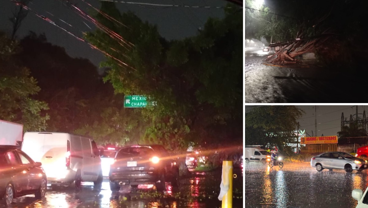 Árboles caídos dejó la fuerte lluvia y viento de este lunes en Guadalajara (Martha Calvillo, Luis Ángel Pedraza)