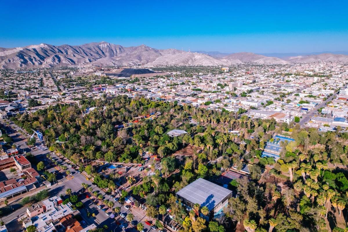 Bosque Venustiano Carranza. (Cortesía Ayuntamiento Torreón)