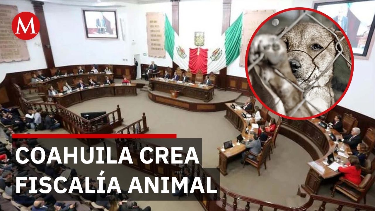 Caso Rocky impulsa creación de fiscalía especializada en delitos contra animales en Coahuila