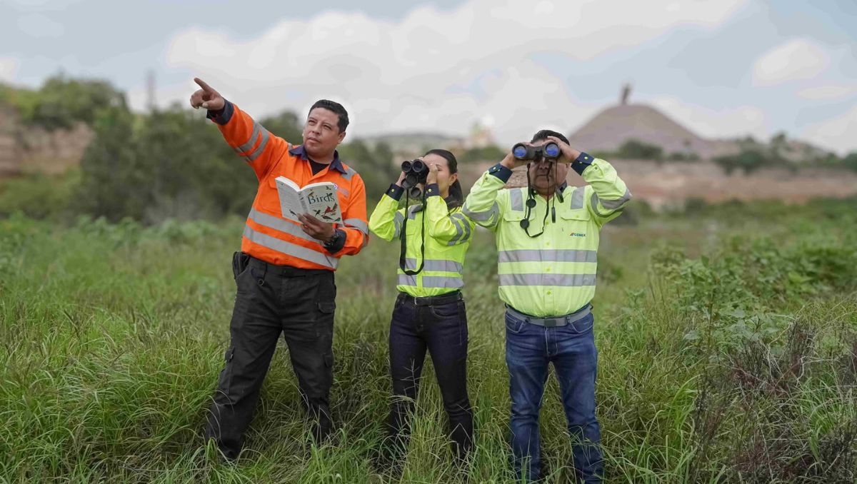 Cemex obtuvo dos reconocimientos de la Tandem Global. | Cortesía: Cemex