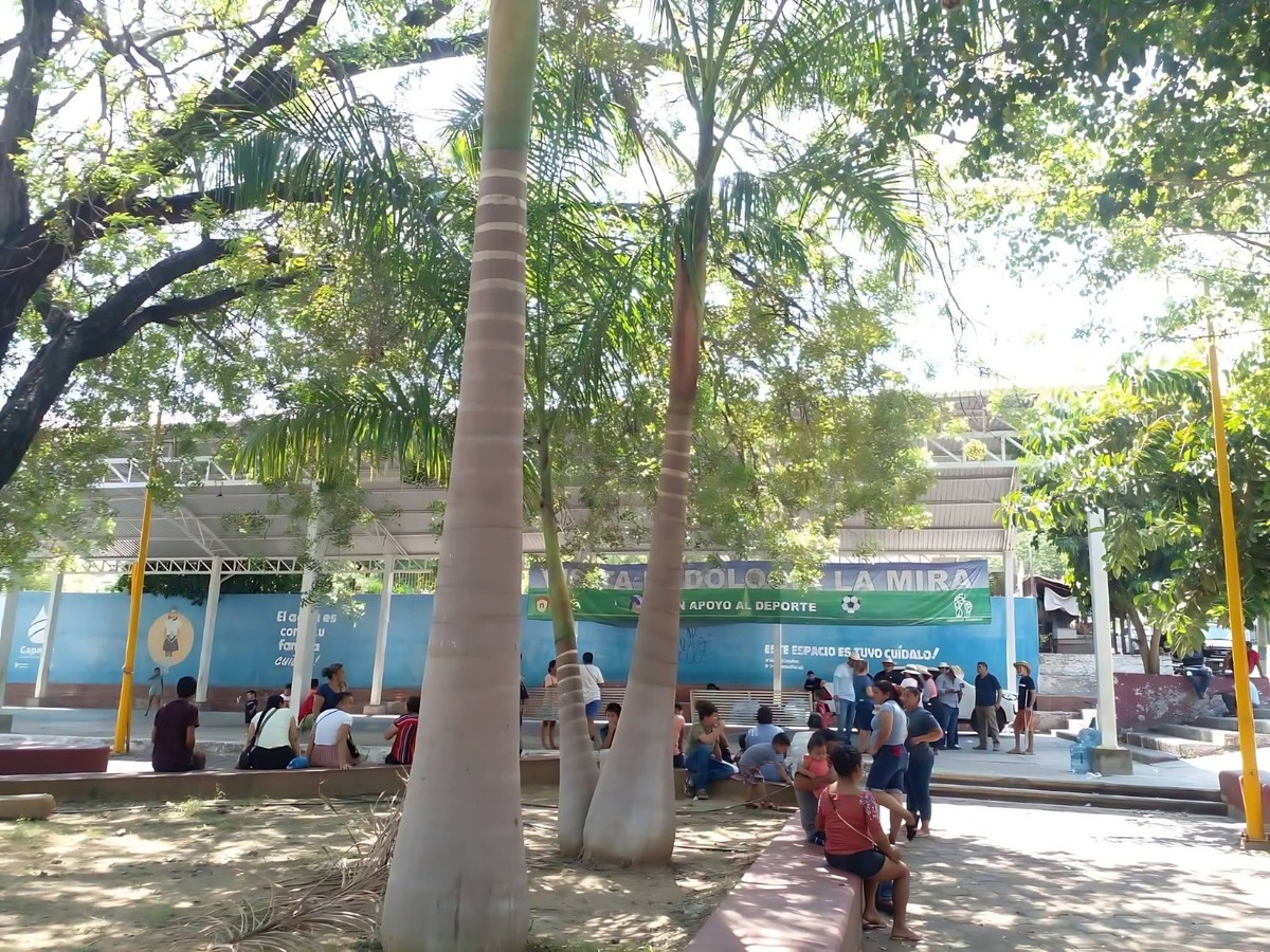 Familias completas de la sierra michoacana abandonaron sus viviendas tras ser blanco de incursiones armadas