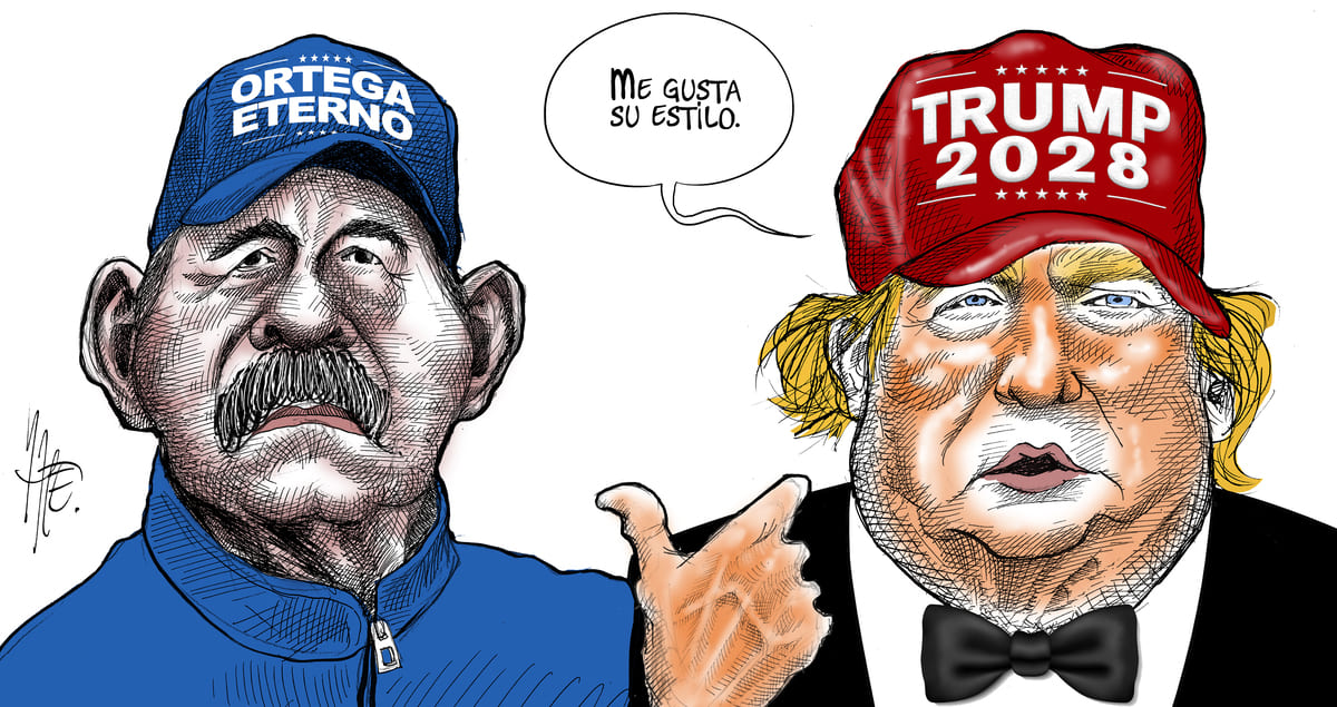 Mismos gustos