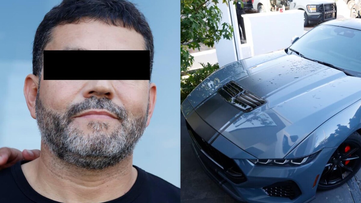 Durante el operativo, le aseguraron armas de fuego y dos automóviles de lujo. | Especial