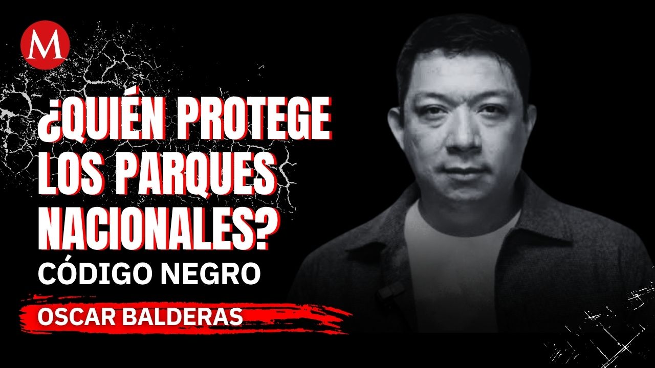 Parques nacionales convertidos en narcolaboratorios: el control criminal | Código Negro