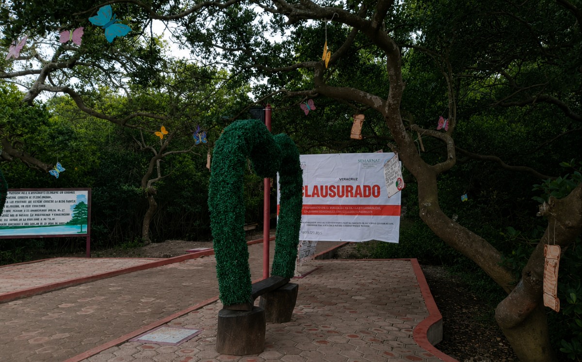Bosque de las Hadas: el parque de fantasía que enfrenta un juicio ambiental.  | Redes sociales: Facebook