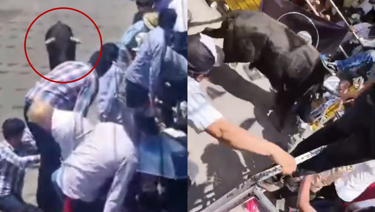 Encierro taurino en Tetla, Tlaxcala, deja 2 lesionados | Especial