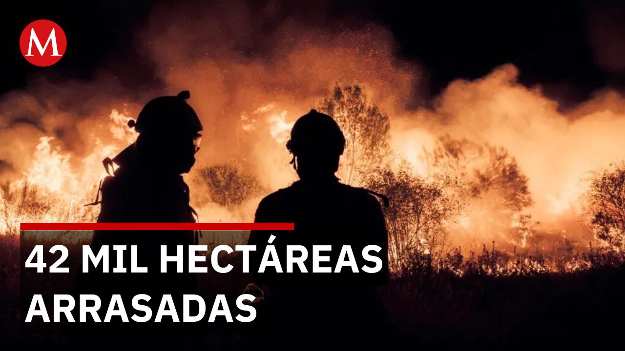 España y Francia evacúan a 100 mil personas por incendios que avanzan sin control