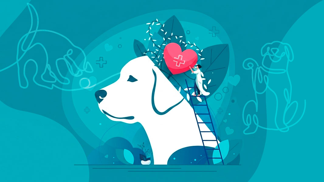 Científicos crean un test de lateralidad canina. Descubre si tu perro es zurdo o diestro y cómo esto afecta su temperamento, salud y emociones.