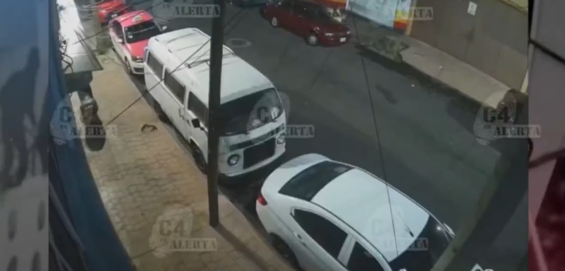 Los perros no cuentan con algún dueño. (Foto: especial)