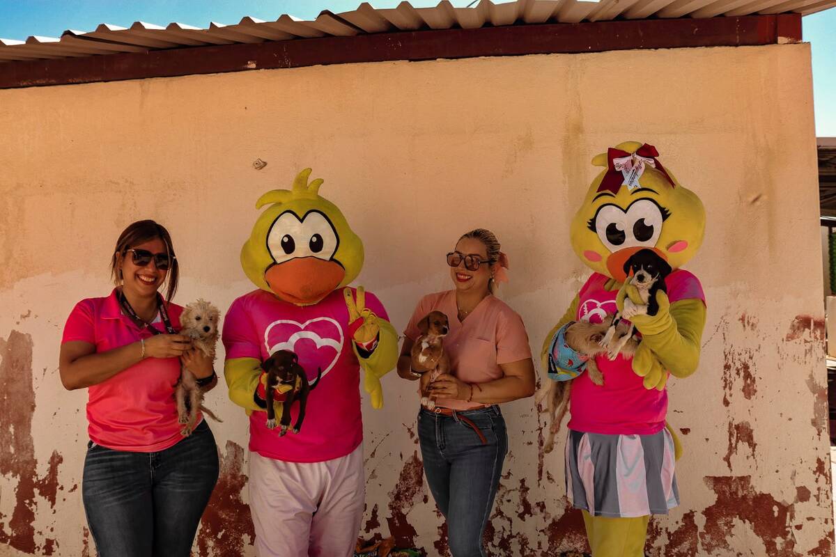 Las mascotas oficiales de Algodoneros participaron en una jornada de convivencia y donación de alimento en beneficio de los perros. (Cortesía UL)