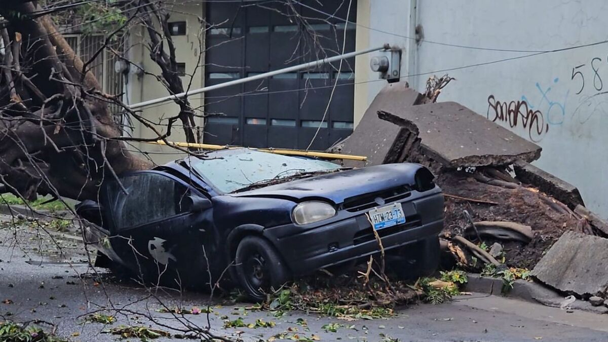 Tormenta en Guadalajara derriba casi 120 árboles y causa destrozos en el AMG (Juan Carlos Munguía)