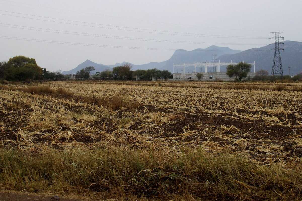 Piden regular precios y reactivar apoyos para salvar el campo lagunero. | Rolando Riestra.