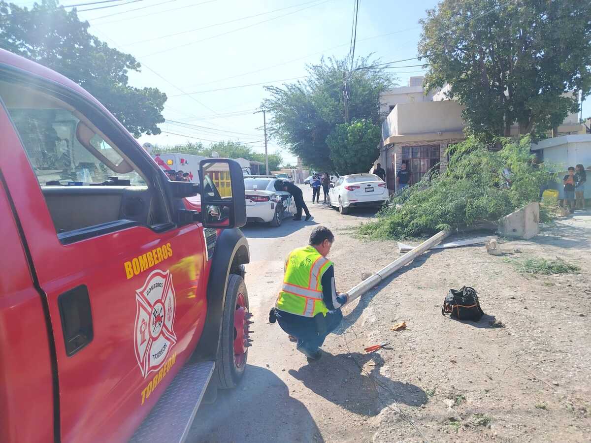 En Torreón, conductor derriba poste y árbol tras perder el control. | Foto: cortesía Protección Civil.