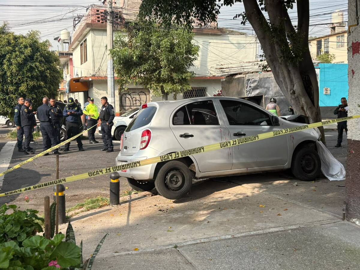 El automóvil involucrado terminó contra un árbol después de derribar un poste de contención. | Enrique Luna