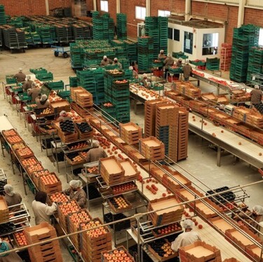 El Banco Mundial ha rebajado sus previsiones de crecimiento económico para América Latina y el Caribe en 2026.