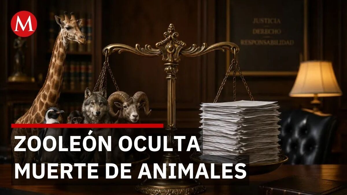 Directora niega muertes, pero documentos oficiales revelan 11 animales fallecidos en Zooleón