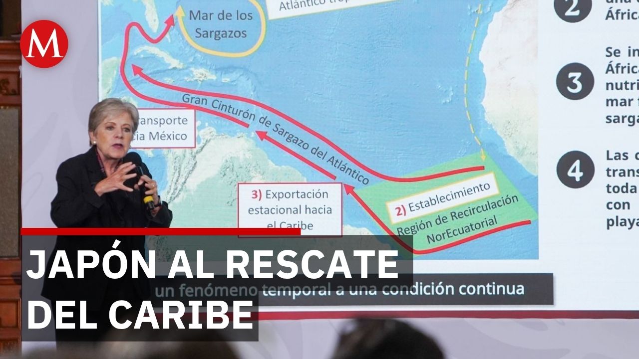 Cifras de pesadilla: El sargazo se multiplica por 27 en las costas del Caribe