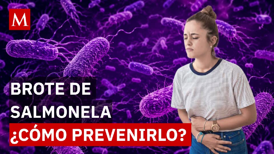 ¿Compraste estas marcas de huevo? La FDA pide desecharlas de inmediato por esta razón