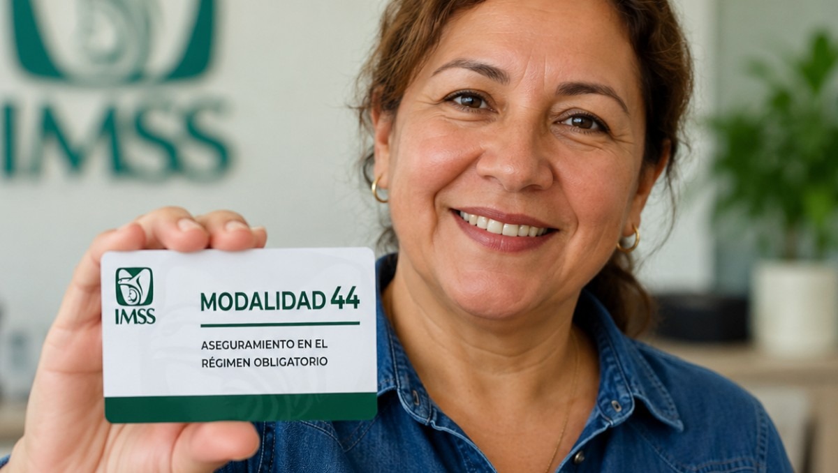 El IMSS tiene diferentes modalidades de incorporación | IA Discover