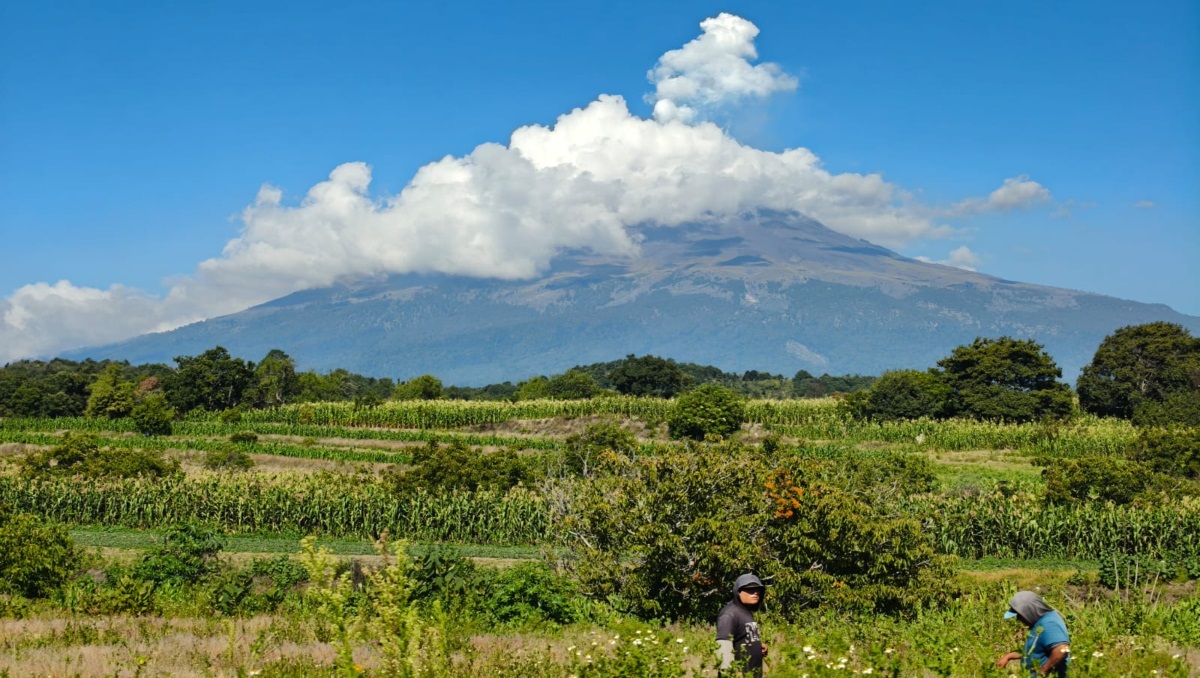 Popocatépetl HOY: Actividad registrada 31 de julio de 2026 | EN VIVO | Melanie Torres