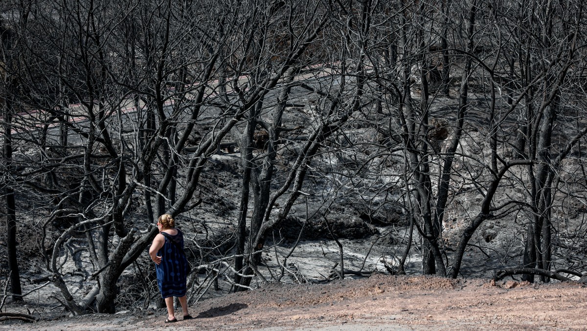 Se autorizó el retorno de evacuados en municipios como Montfort-sur-Argens. | Foto: EFE