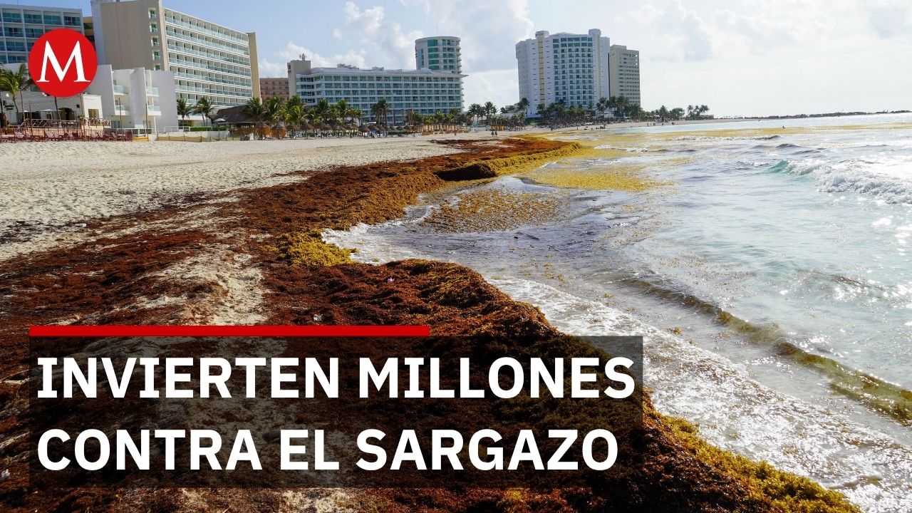 Gobierno intensifica acciones para combatir el sargazo en Quintana Roo