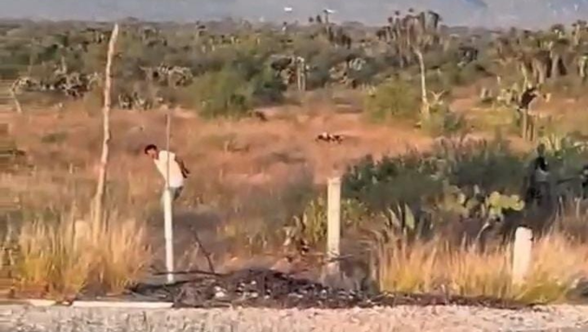 Hallan maniatado a transportista en la Cuacnopalan-Oaxaca | Carolina Espinosa