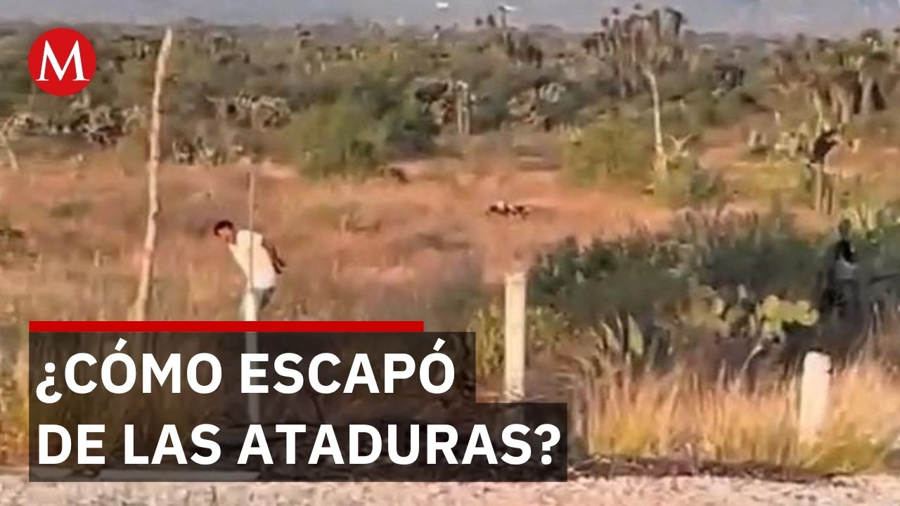 Transportista maniatado logra escapar y pide auxilio en carretera federal de Oaxaca